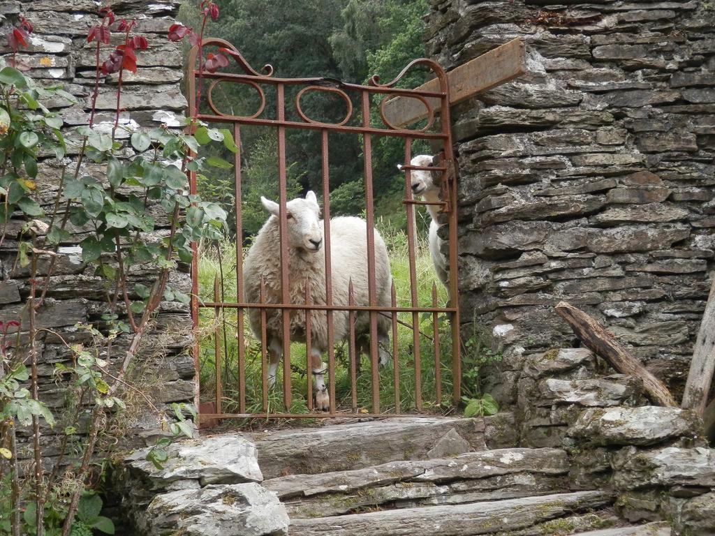 Llety Morben Villa Machynlleth Exterior photo